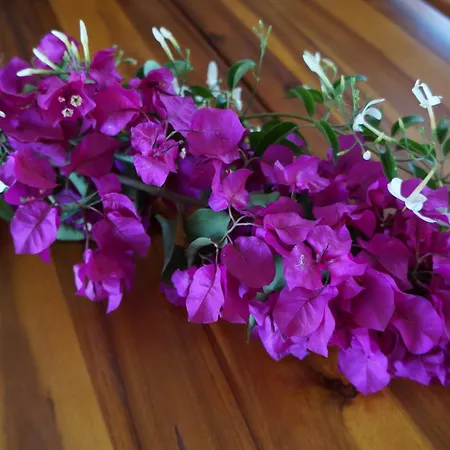 Апартаменты Irene's Maisonette At Rafaella *