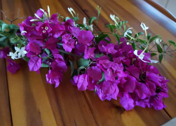 Apartment Irene's Maisonette At Rafaella *